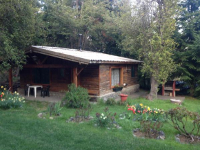 Cabaña Los Abetos 3